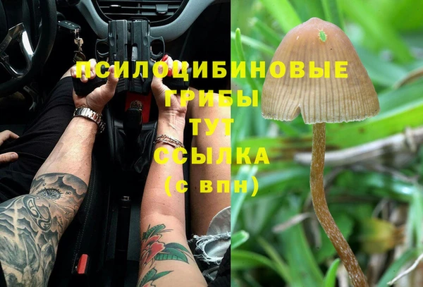 mdma Белокуриха
