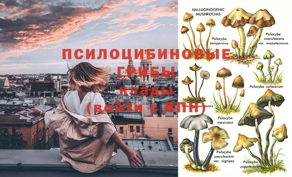 mdma Белокуриха