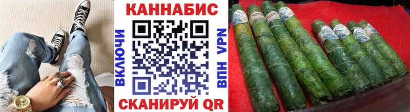 Купить где  Олонец  Каннабис Amnesia 